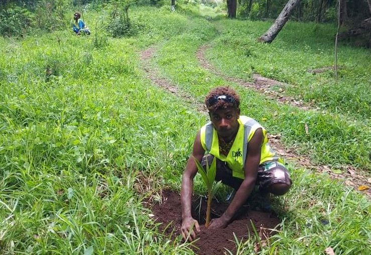 Coconut planting on a roll across all provinces with support from the EU Vanuatu Value Chain program. Target to plant 300,000 nuts by March 2022. #EUVaVaC #Coconut #TreeOfLife #Vanuatu #DARD