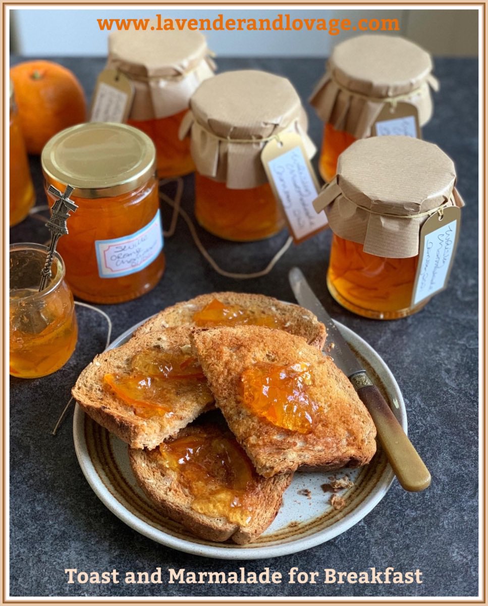 KarenBurnsBooth's tweet photo. An award winning Traditional Seville Orange Marmalade from First Preserves, by Vivien Lloyd; make this marmalade for a winning chance at your local WI fairs as well as for the Marmalade Awards. @VivienLloyd Recipe here: https://t.co/gWFTNeqnTD #makingmarmalade https://t.co/Id0UFqDUw0