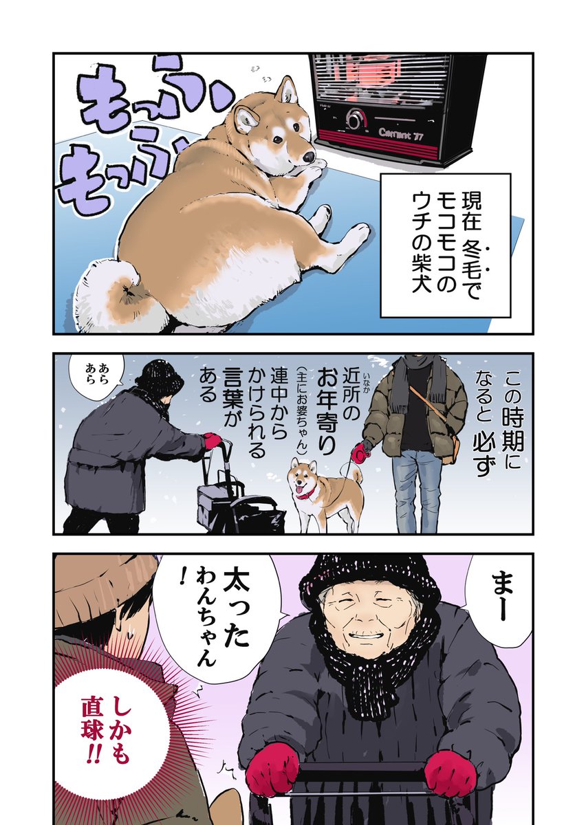 冬毛の犬に対する 近所のお年寄りの言葉がひっどい話 