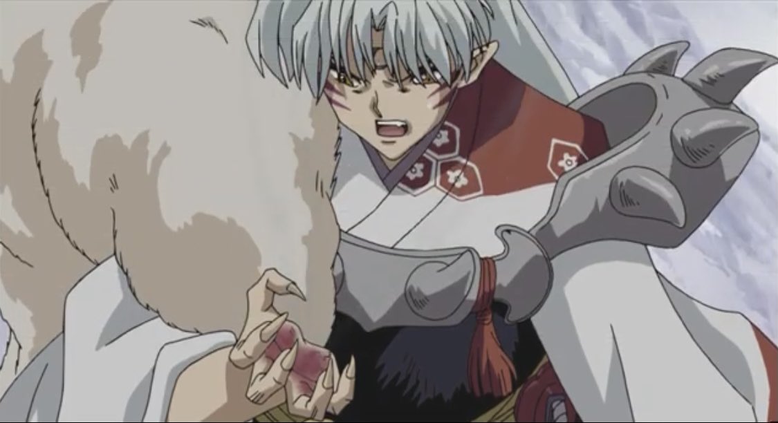 殺生丸様って基本最強だけど映画で犬夜叉の鉄砕牙の結界に触れただけで