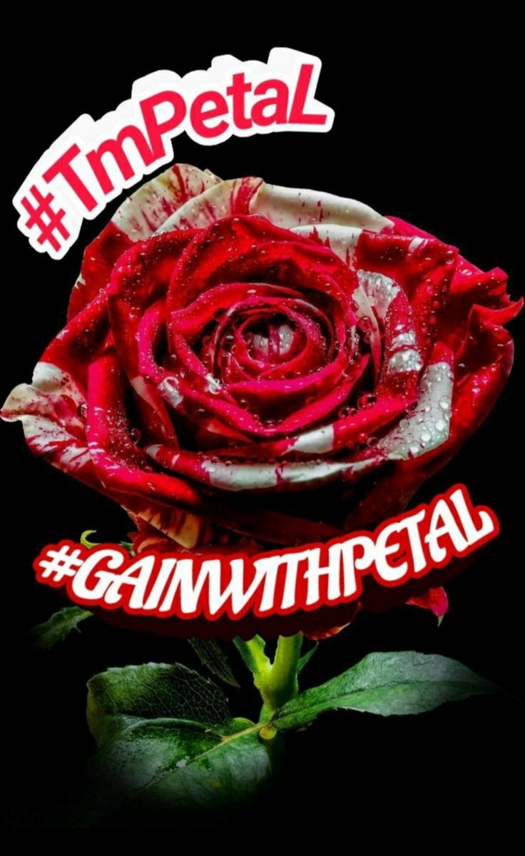 #GAINWITHPETAL #Spencerdrive @SpJames1111 @YoramKoren @vianagains @trinivianaok @morrisAndrew20 @YukariKingdom18 @MarianLuque4 @tericobb6 @SpiritRider1 @Lyndrivefub @kittymayo7101 @khalidaajzi @lumpie125 @WALLI27 @9339wingmen @PetalsTm @Spencerjames211 @WaynesGirl