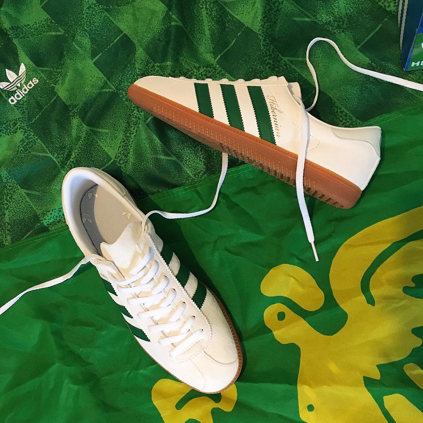 Sole on X: hibs custom on a pair of adidas Blanc has gone well I think @HibernianFC @HibernianRetro #hibernian #edinburgh #hibernianfc #oxgangs https://t.co/xDnThFO6j0" / X