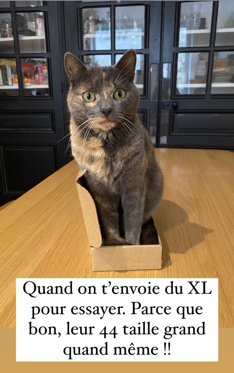 Bien sûr qu’on fait des grandes tailles, on va jusqu’au 44!!