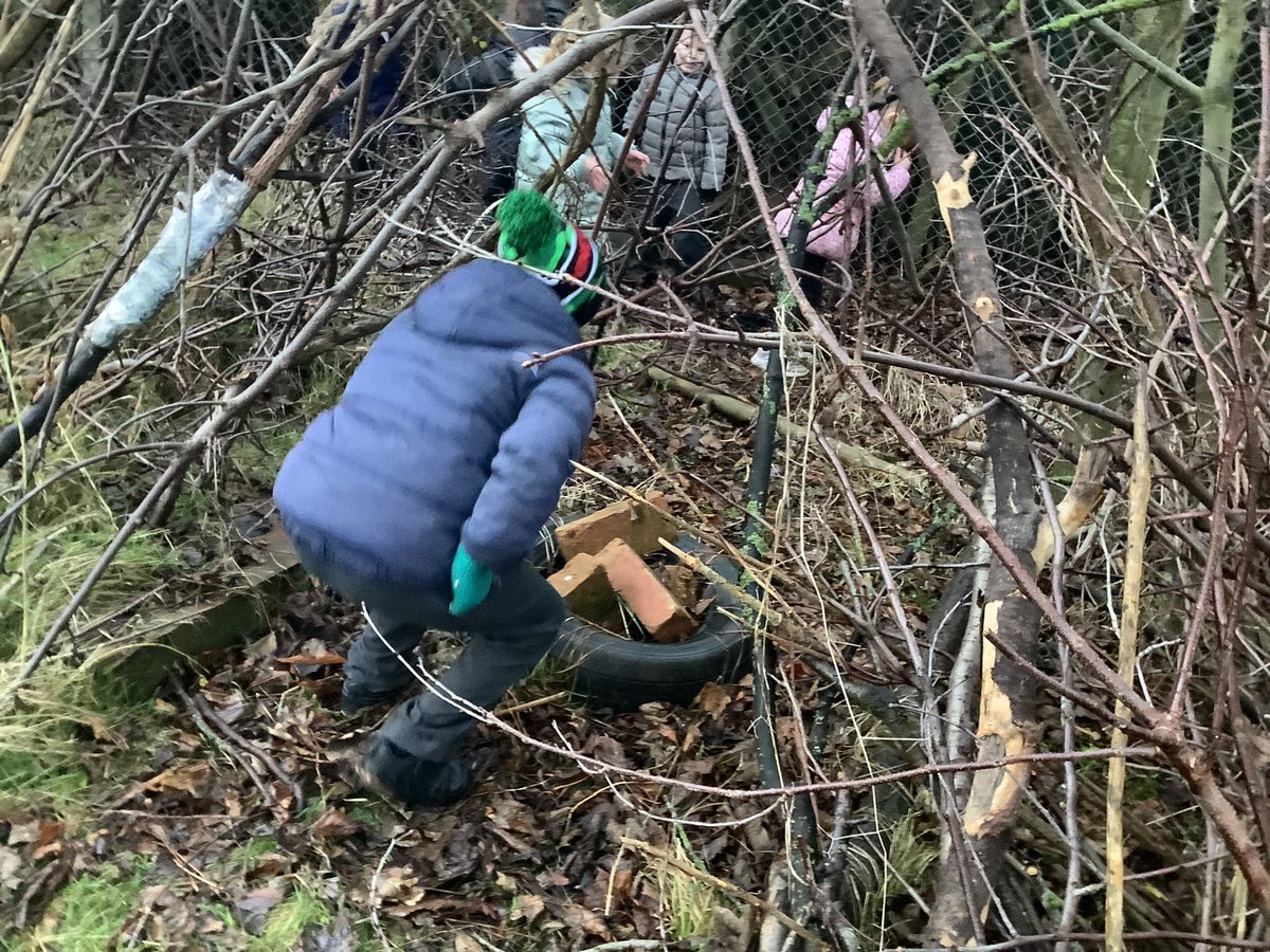 Highbank Forest School tweet media
