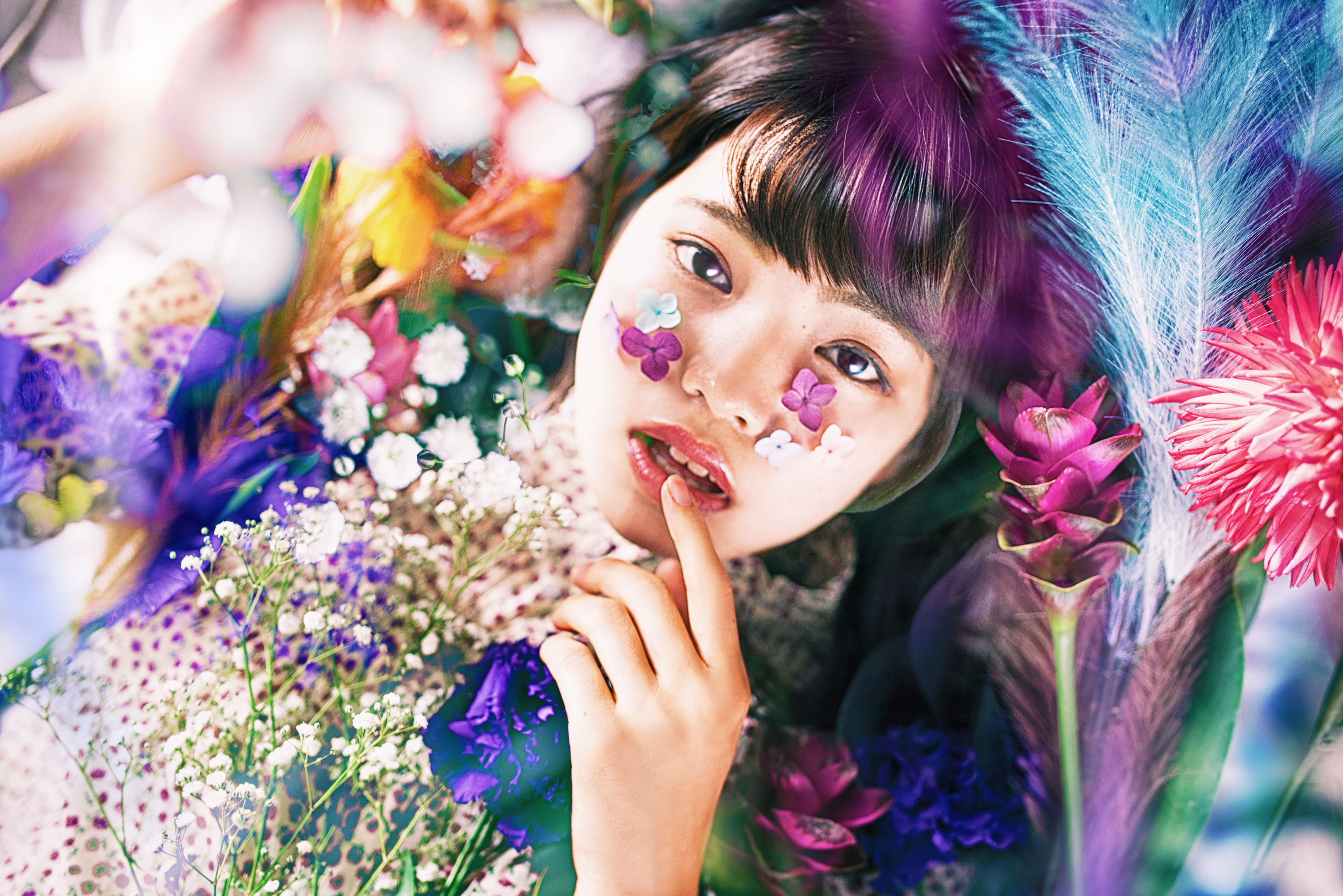 ぷーやん ポートレート写真家 活動家 写真展 交流会 コミュニティ サイト Nftアート Poooooooyan Twitter
