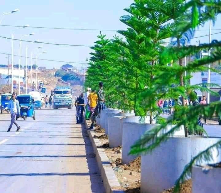 SakayAhmed's tweet photo. #Bilicda Jigjiga❤️ https://t.co/nFg6xzntYM