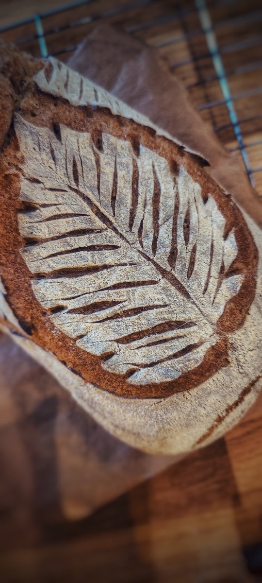 dave_bakes_bread tweet media