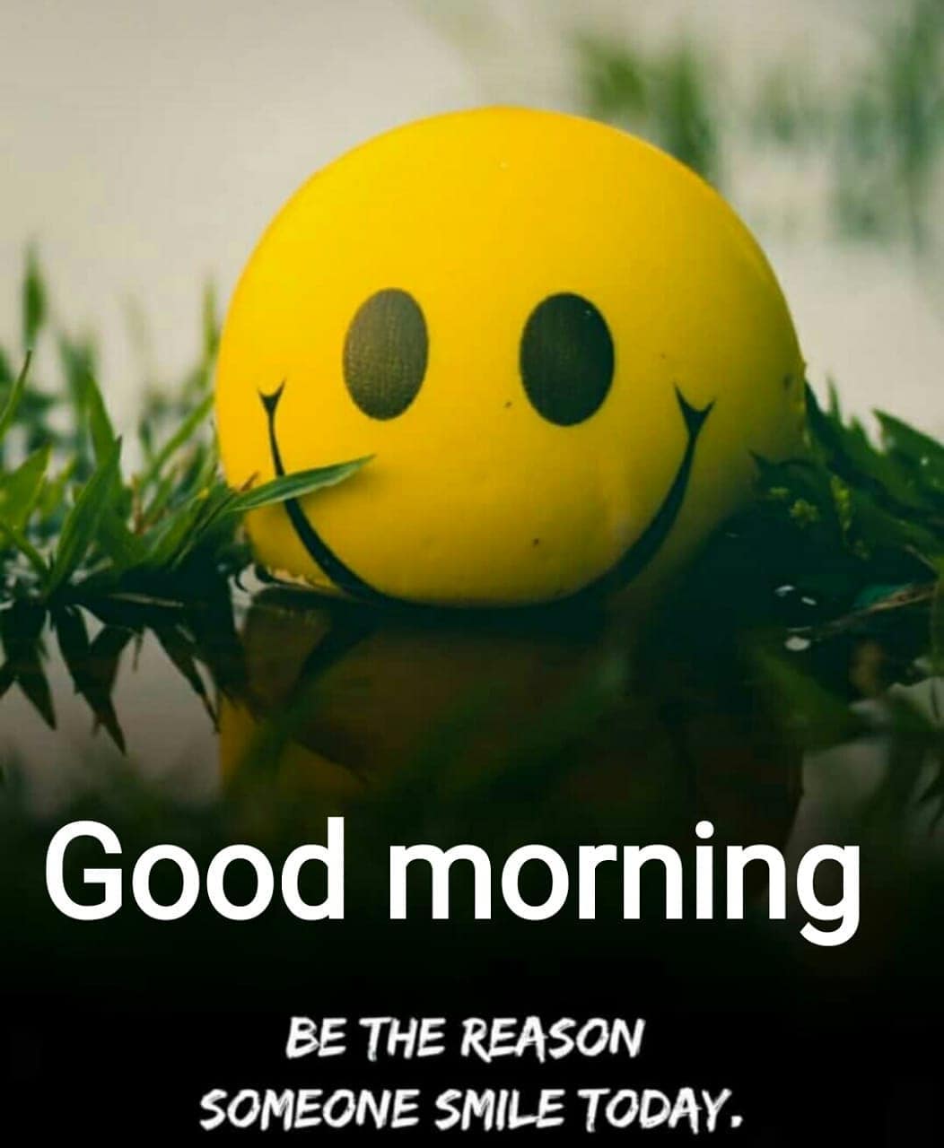 Start Your Morning With A Smile Good Morning  DesiCommentscom