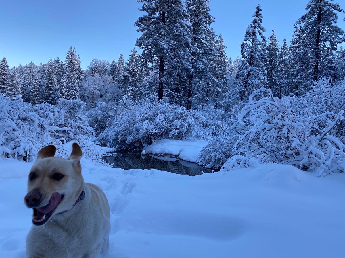 HealtHoot's tweet photo. @kirstiealley SoCal mountains! https://t.co/HeYAycIdqA