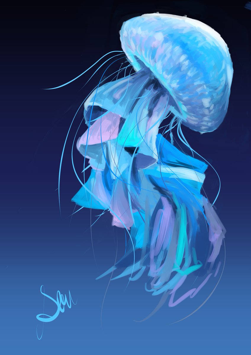 jellyfish gradient gradient background blue background signature solo blue theme no humans  illustration images