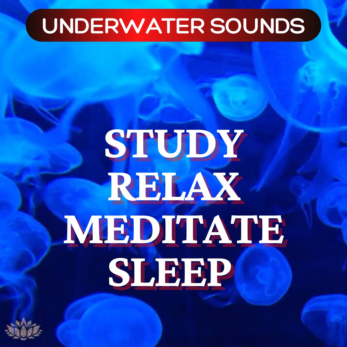InnerPeaceThpy's tweet image. UNDERWATER Sounds! Continuous ASMR - Ideal for sleep, meditation, relaxation, white noise, study, &amp;amp; concentration!

youtube.com/watch?v=-UonzT…

#innerpeacesoundtherapy #innerpeacetherapy #innerpeacethpy #ASMR #underwater #relax #sleep  #whitenoise #tinnitus #study #soundtherapy