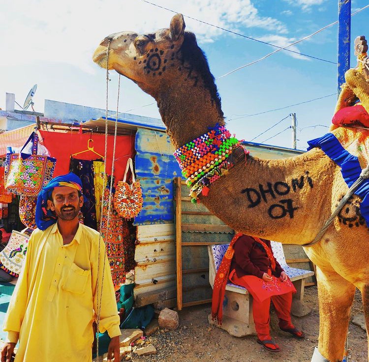 TrendsDhoni's tweet photo. Picture from Gujarat. 🐪❤️

@MSDhoni | #MSDhoni | #WhistlePodu https://t.co/FGGhD3n4bK