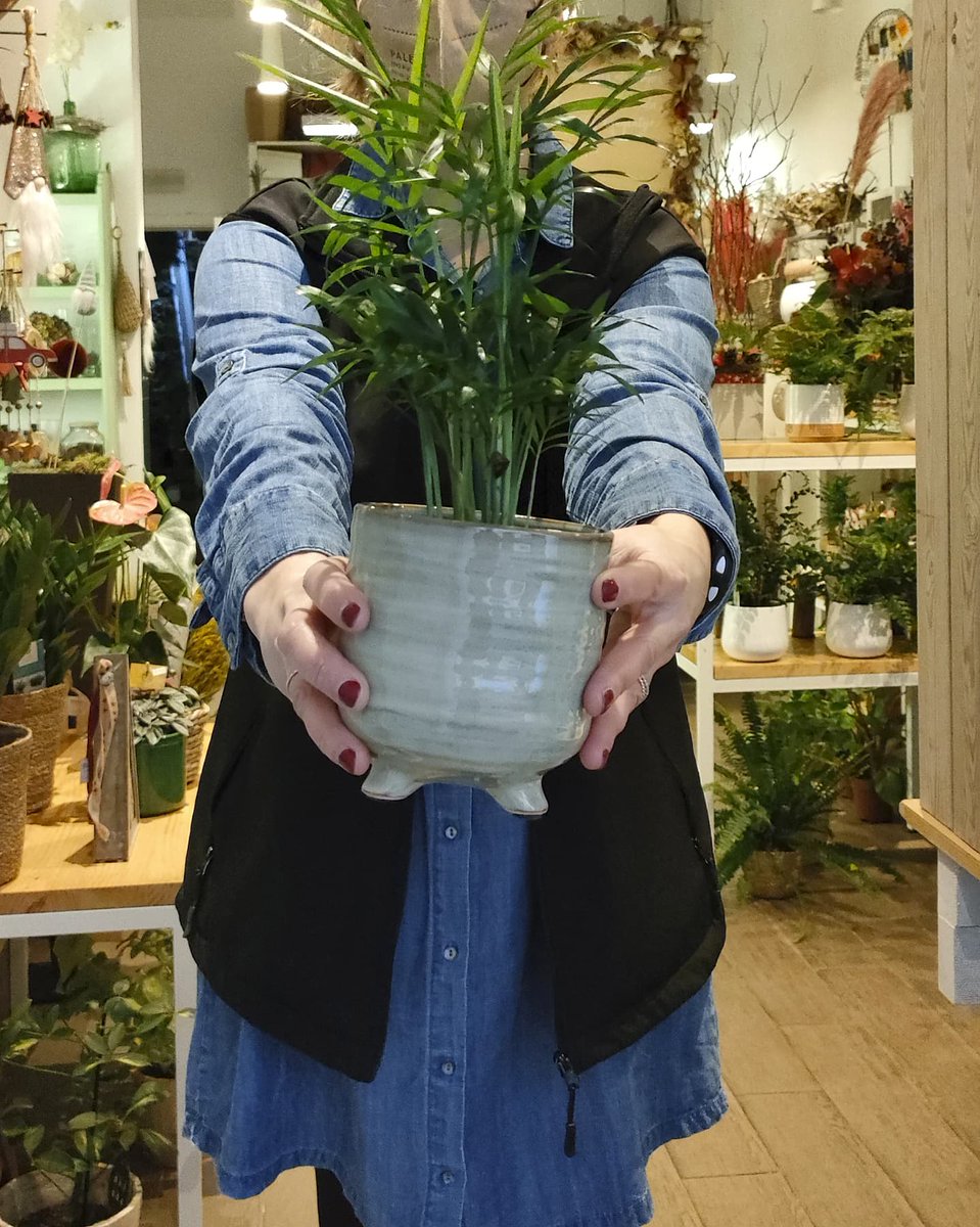 BlancVilassar's tweet photo. A Blanc.EstudiFloral us assessorem i atenem en tot el què necessiteu.
Avui compartim amb vosaltres una bonica torreta, molt ben acompanyada 🌿
#VilassarComerç #VilassarDeMar #EstudiFloral #Floristes #Flors #Torretes #Macetas https://t.co/aNAVR957lr