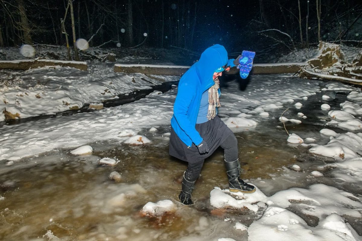 Matt Dayhoff tweet media