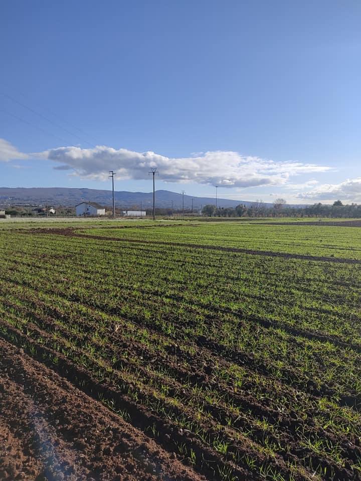 Medwhealth Prima Project tweet media