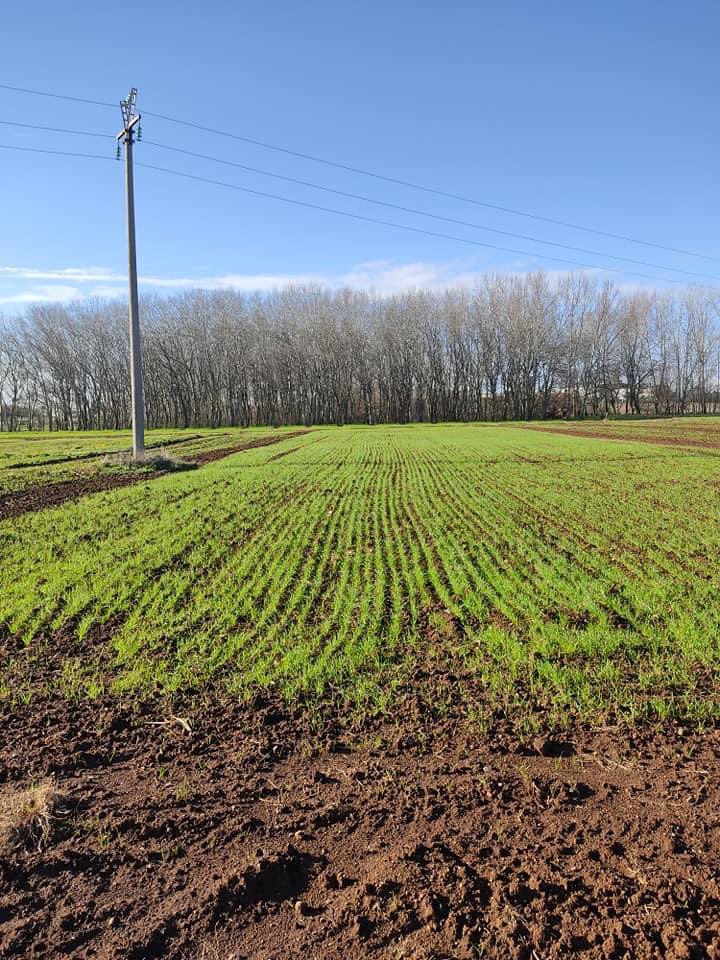 Medwhealth Prima Project tweet media