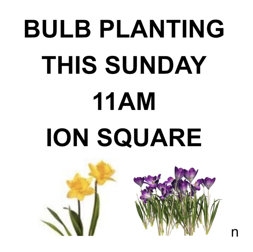 If you like digging, this is for you. All welcome! ⁦
