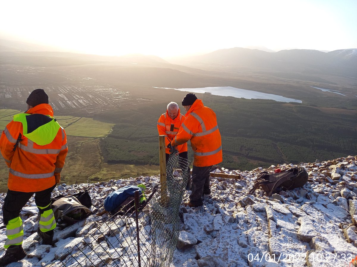 Croagh Patrick Path Team tweet media