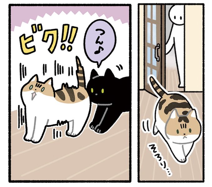 赤ちゃんと一緒に暮らしている三毛猫は、3巻で出てきた