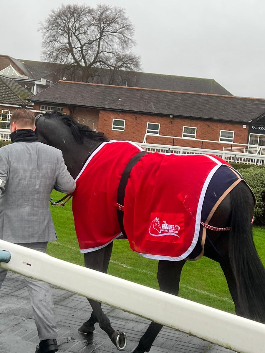 Roguesracing_'s tweet photo. Follow the ⭐️⭐️⭐️⭐️⭐️
#RogueStar Looking good in the paddock @LingfieldPark https://t.co/6PUgQqte8y