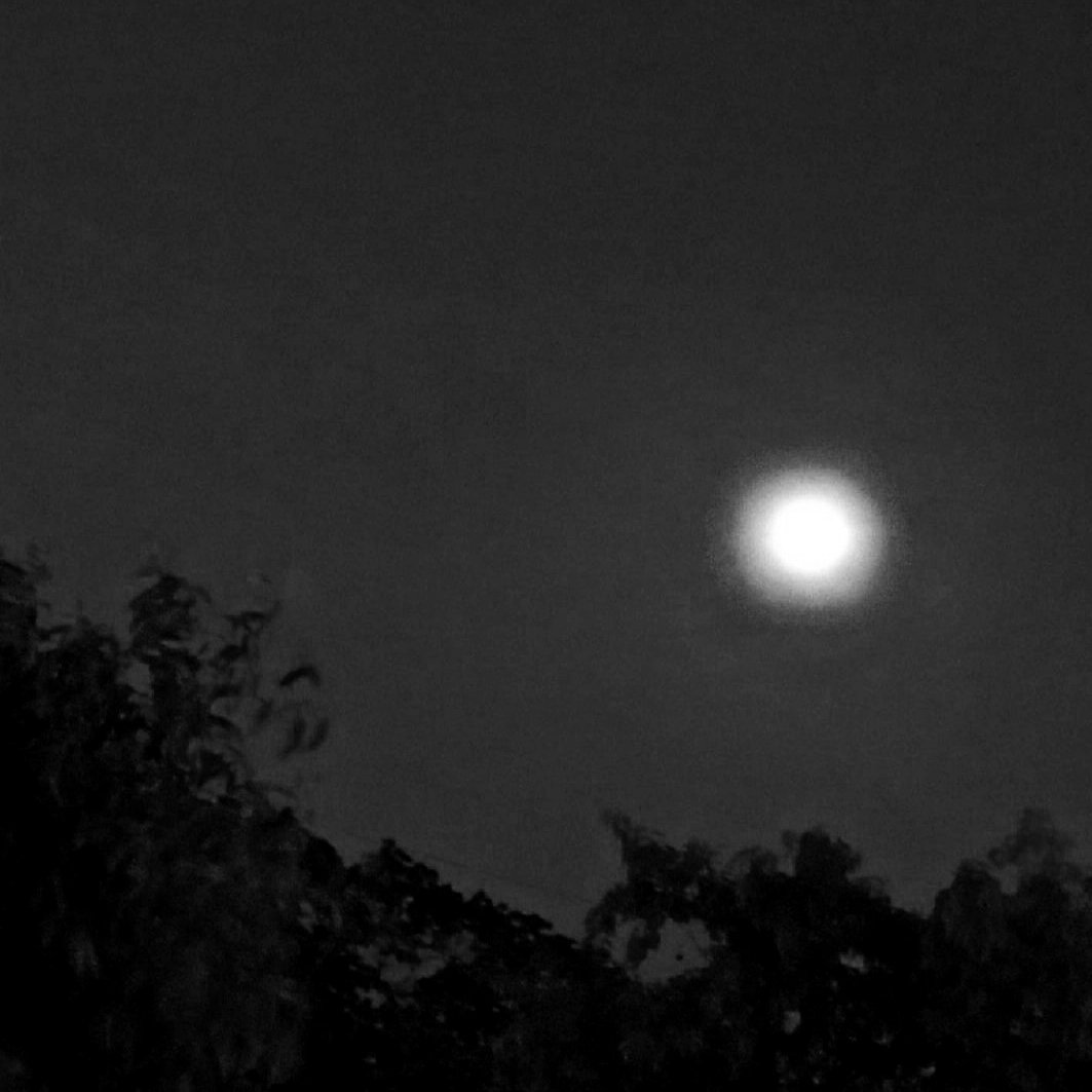 skylewritez's tweet image. longing for you
a dfy oneshot special.
       — yēdam longs for him. it's been a year since his bebu, doyoūng passed away. he was okay when he thought he was but it was never been that easy.