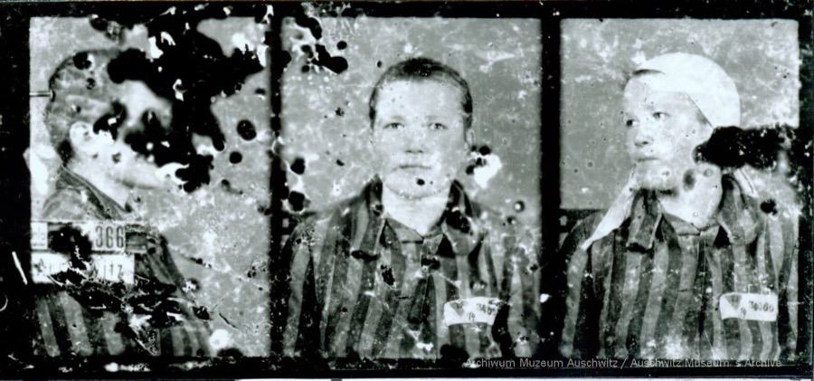 AuschwitzMuseum's tweet photo. 8 January 1924 | A Polish woman, Janina Balbina Gardias, was born in Gliniska.

In Auschwitz from 5 February 1943. 
No. 34366
In 1944 she was transferred to the Natzweiler camp and liberated there. Today she celebrates her 98th birthday. (Photo: @Hallandsposten) https://t.co/xA4nMSTbE4