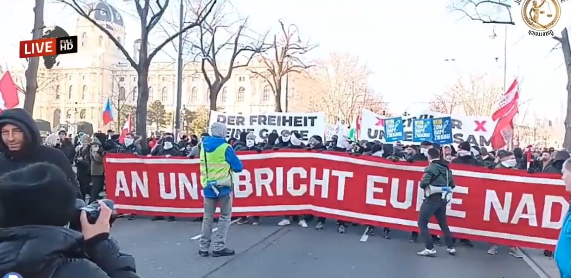 rajvlinci's tweet photo. Die Demofront hinter der sich die "normalen Leute" einreihen. #w0801 #Wien #noIB #rotesX https://t.co/K17QlFjjsI