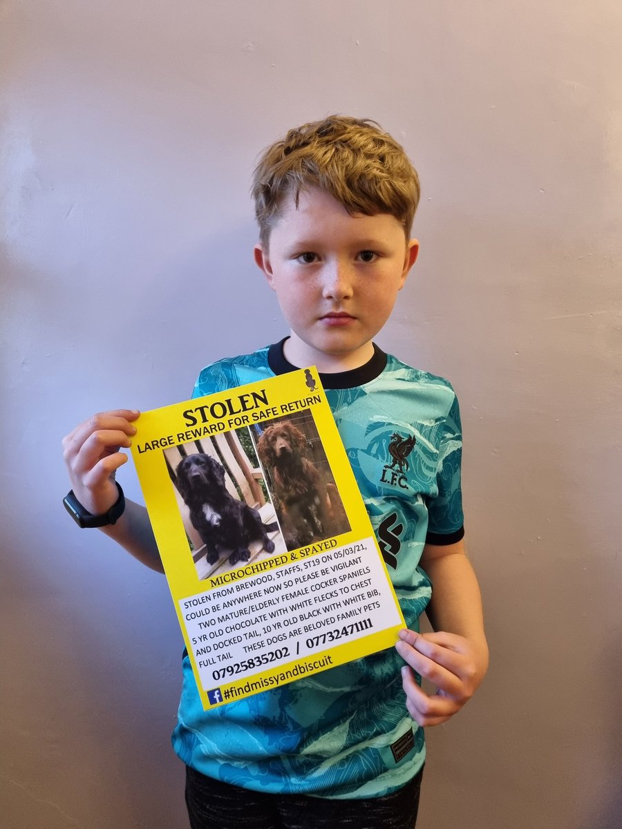 Rachel Lilley #FindMissyandBiscuit tweet media