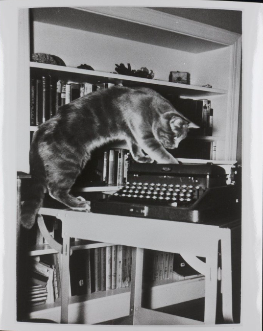 Rachel Carson's cat and typewriter