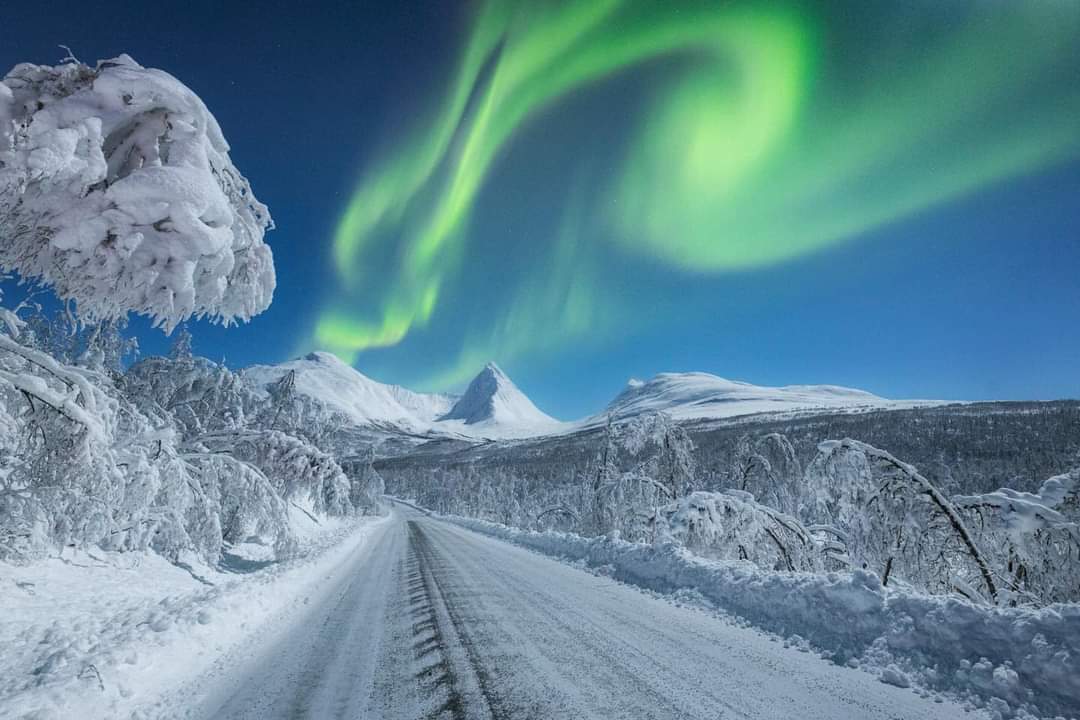 elusive_moose's tweet photo. Stunning 😍 Lady #Aurora dancing over Arctic #Norway 💚 Photo Greenlander Tromsø @Northern_Norway @StormHour https://t.co/8QN0d0Y5Le
