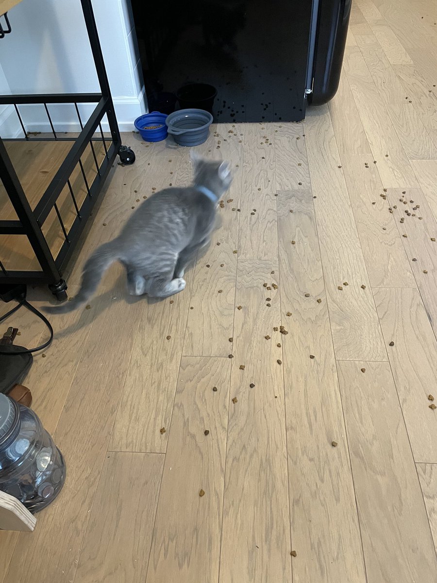 Dak Bs, Ms, PEng, PhD, JD, PsyD, DNP, MD tweet media