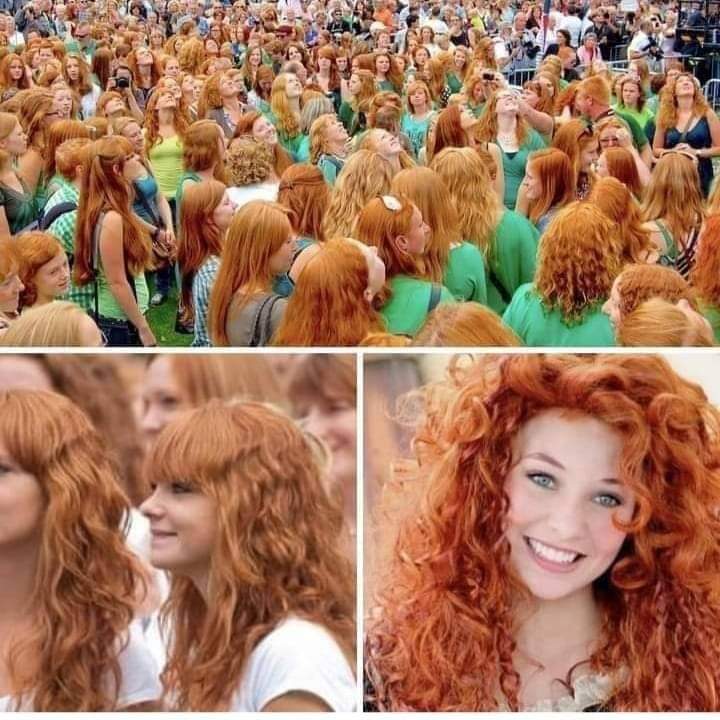 smart Nogen scrapbog Archaeo - Histories on Twitter: "Irish Redhead Convention takes place in  County Cork, Ireland. People with red hair have gathered for Irish Redhead  Convention. Held over three days celebrations include crowning ginger