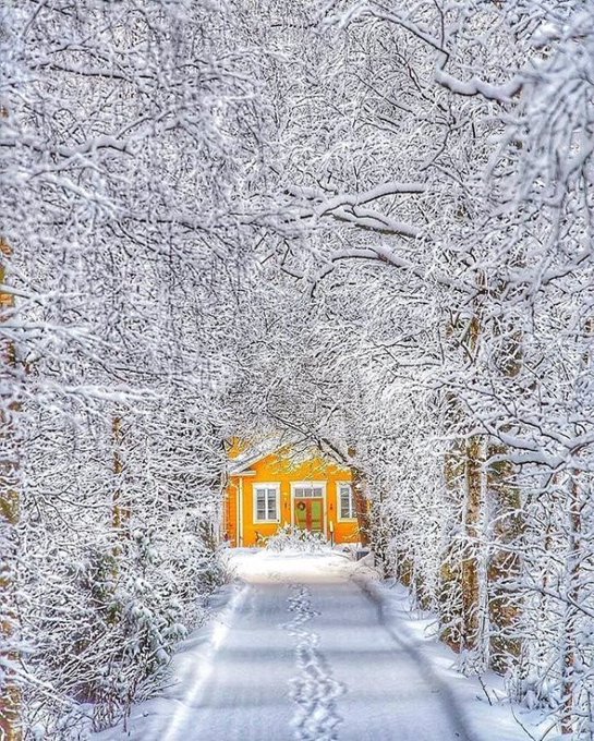 Modayman: Wish you all a wonderful start to the week, thank you very much!