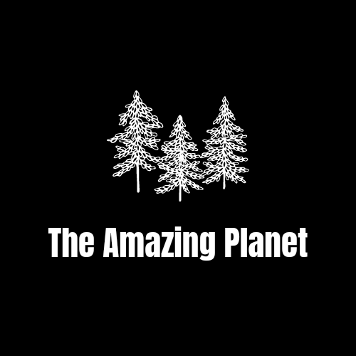 _amazing_planet's tweet photo. #NewProfilePic https://t.co/KOSpGEIkJ3