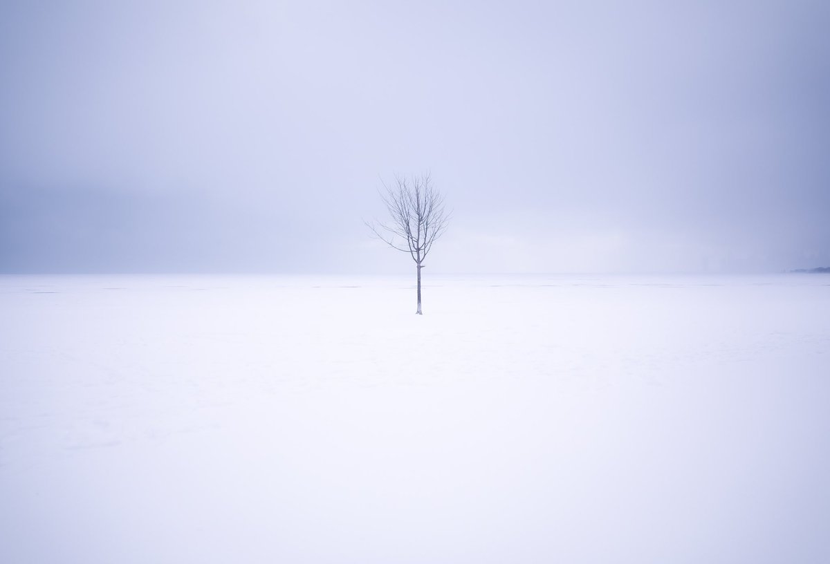 Michael Muser (@mikemuser) on Twitter photo 