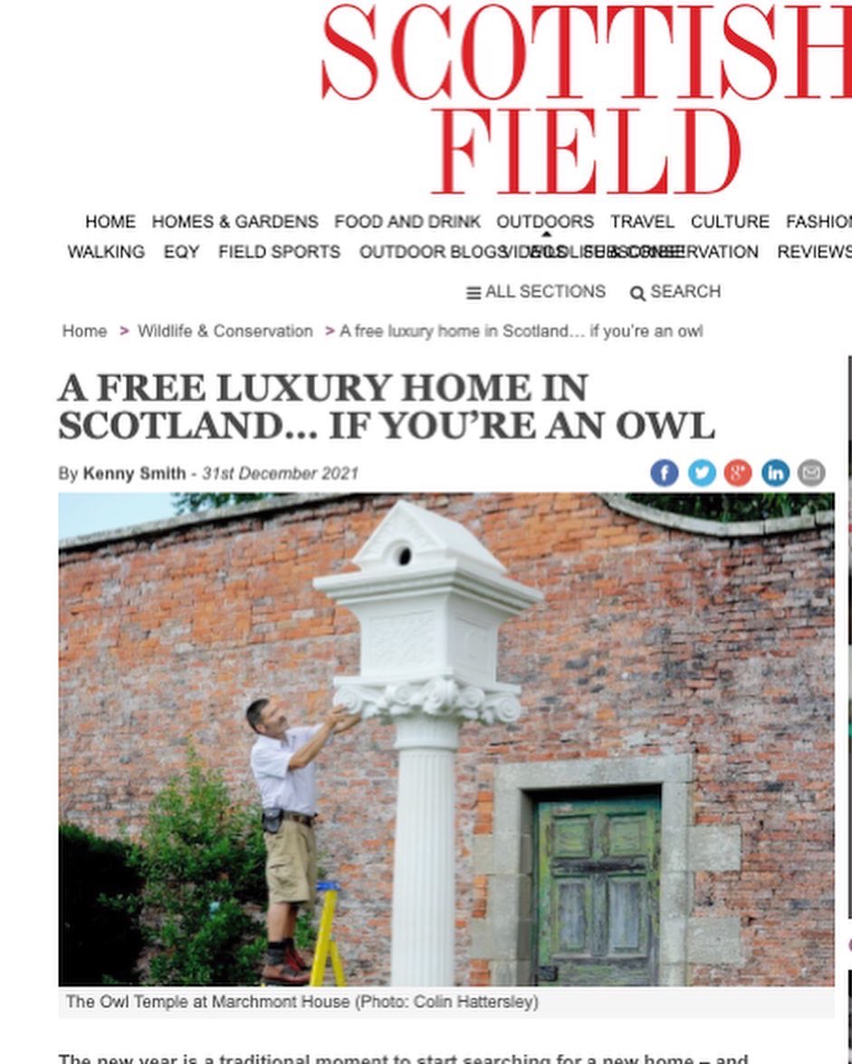 MarchmontEstate's tweet photo. Thanks for all the ‘Bird Man’ of Marchmont and free luxury (🦉) home coverage 🙏🎈✨

@ScottishField @ScotNational @heraldscotland @TheScotsman @MatthewShelley https://t.co/qzSiDqVpVD