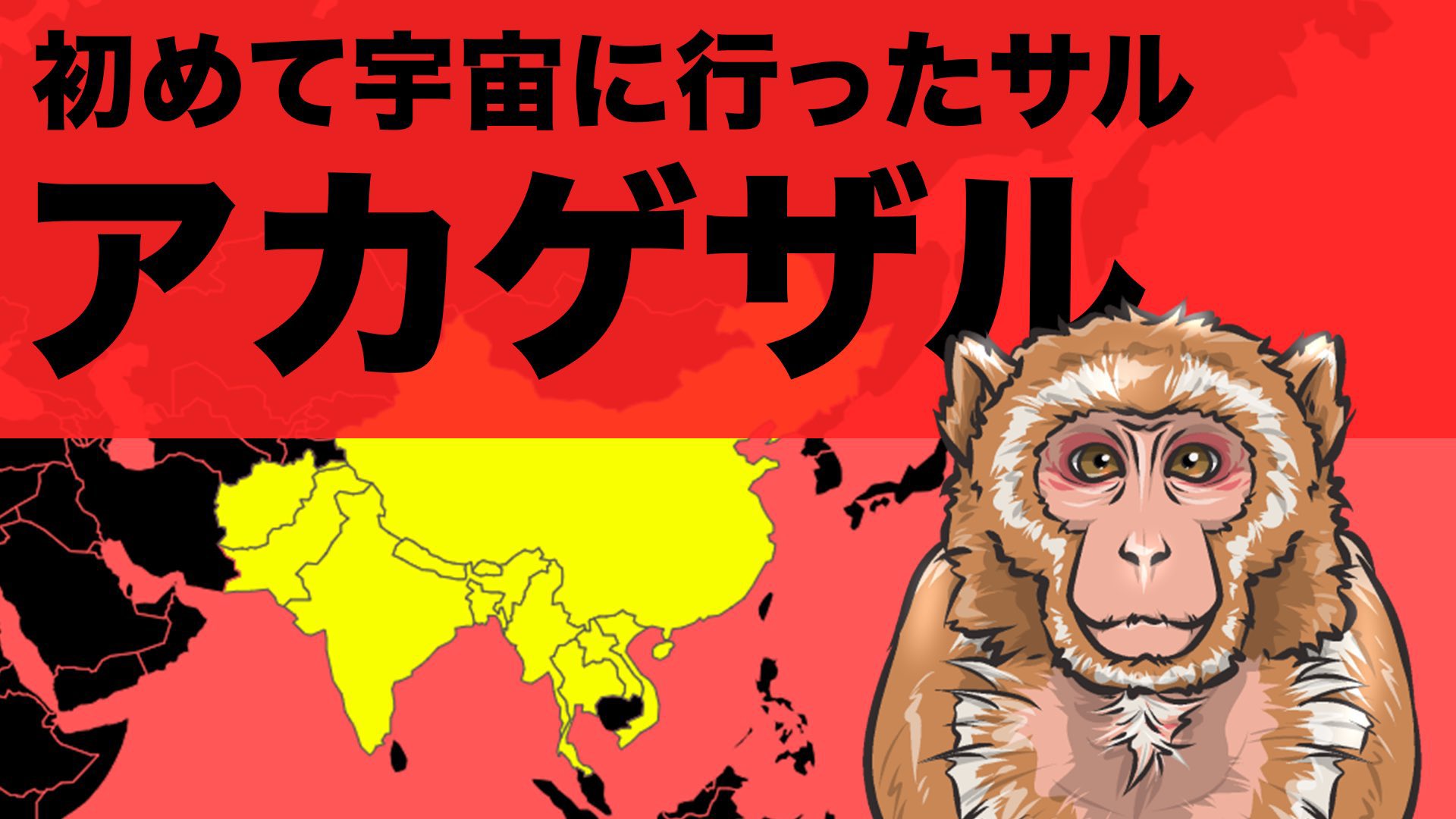 猿 Com 肉食動物 Com Dobu2zukan Twitter