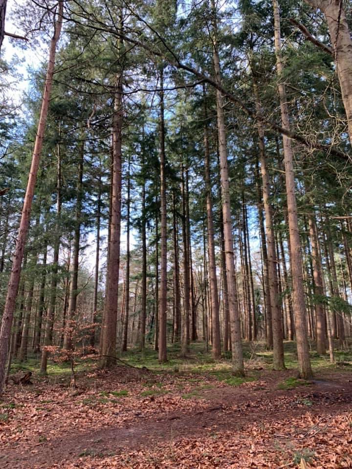 Visit Hattem tweet media