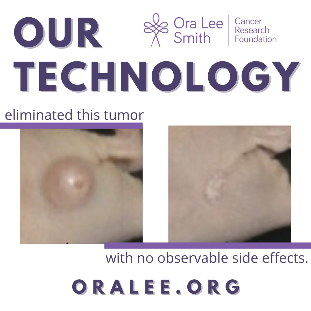 OraLeeOrg's tweet photo. Now you see it! Now you don't! Just like that cancer tumor cells are eliminated. Learn more about us at https://t.co/WIigG5ESjS.
🙏🏾Join our journey
👉🏾https://t.co/WIigG5ESjS
👉🏾Text ORA to 71777
👉🏾CashApp/Venmo -- OraLeeFoundation
#LetsMakeCancerHistory #AnswerToCancer https://t.co/ifCqPTYnNb