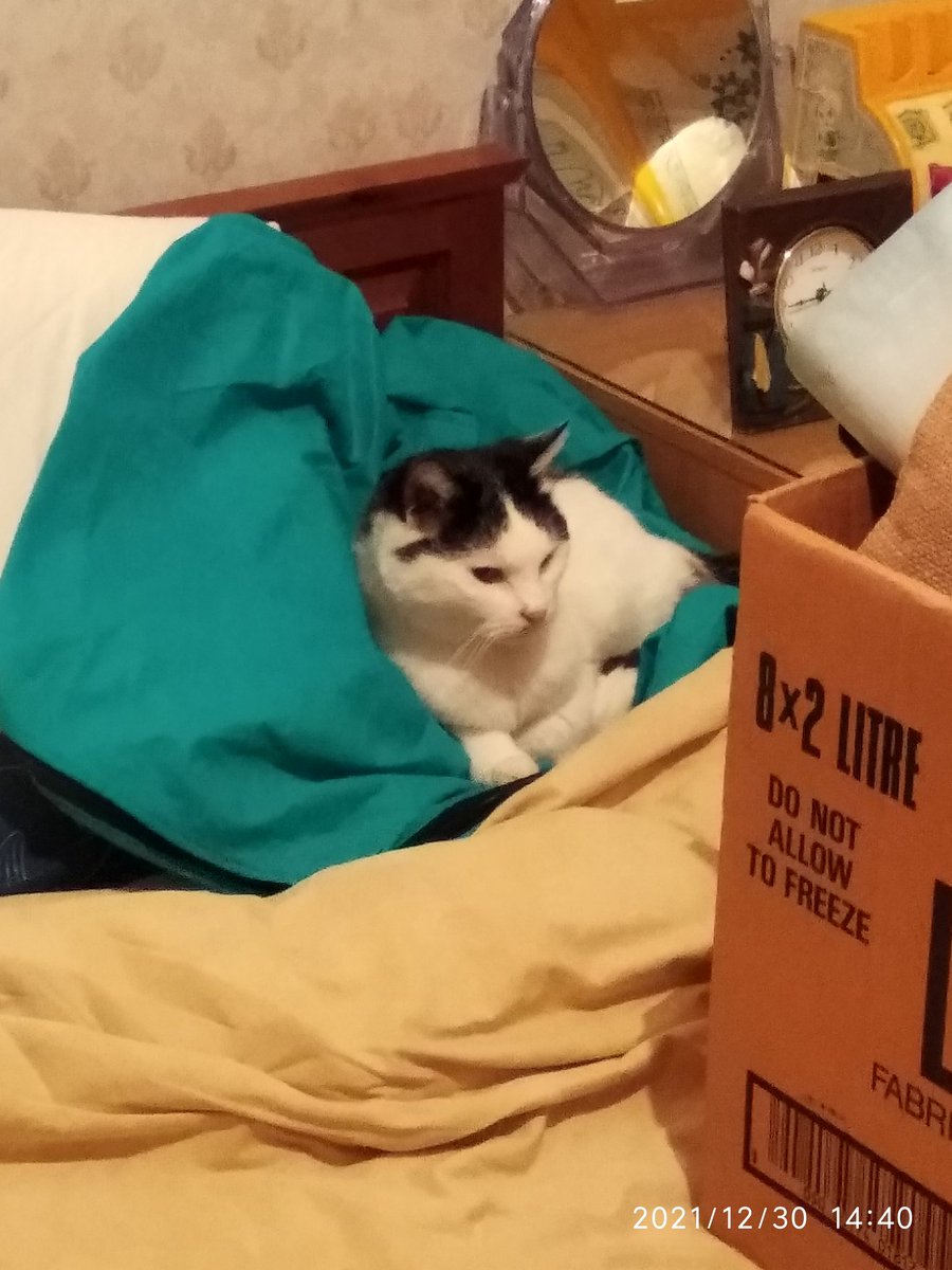 Little old lady chilling out 🙂