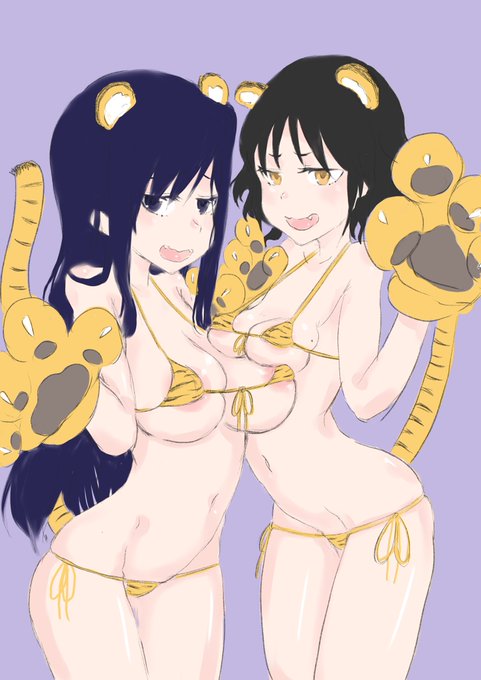 キャットスパイダータイガー 