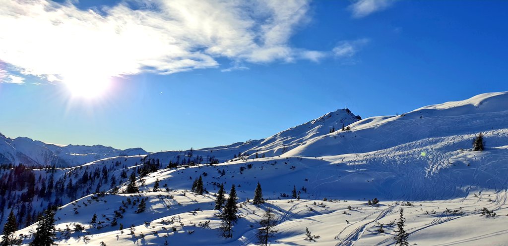 AliceVoetter's tweet photo. Best skiing guaranteed @flachauinfo #perfectsnow 🌞⛷🌞 https://t.co/aMHrZhgwiR