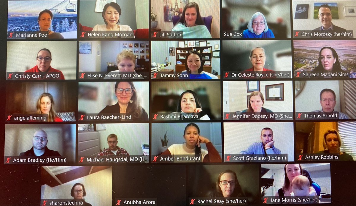<a href="/apgonews/">APGO News</a> Susan M Cox Clerkship <a href="/susanmcox3/">Sue M Cox</a>  Directors School is in session today 10am- 4pm (!) #dedication #meded #apgocdschool

(And seeing little 👶🏻 in laps is the silver lining of emergency swap to virtual)

<a href="/croyce62/">croyce</a>