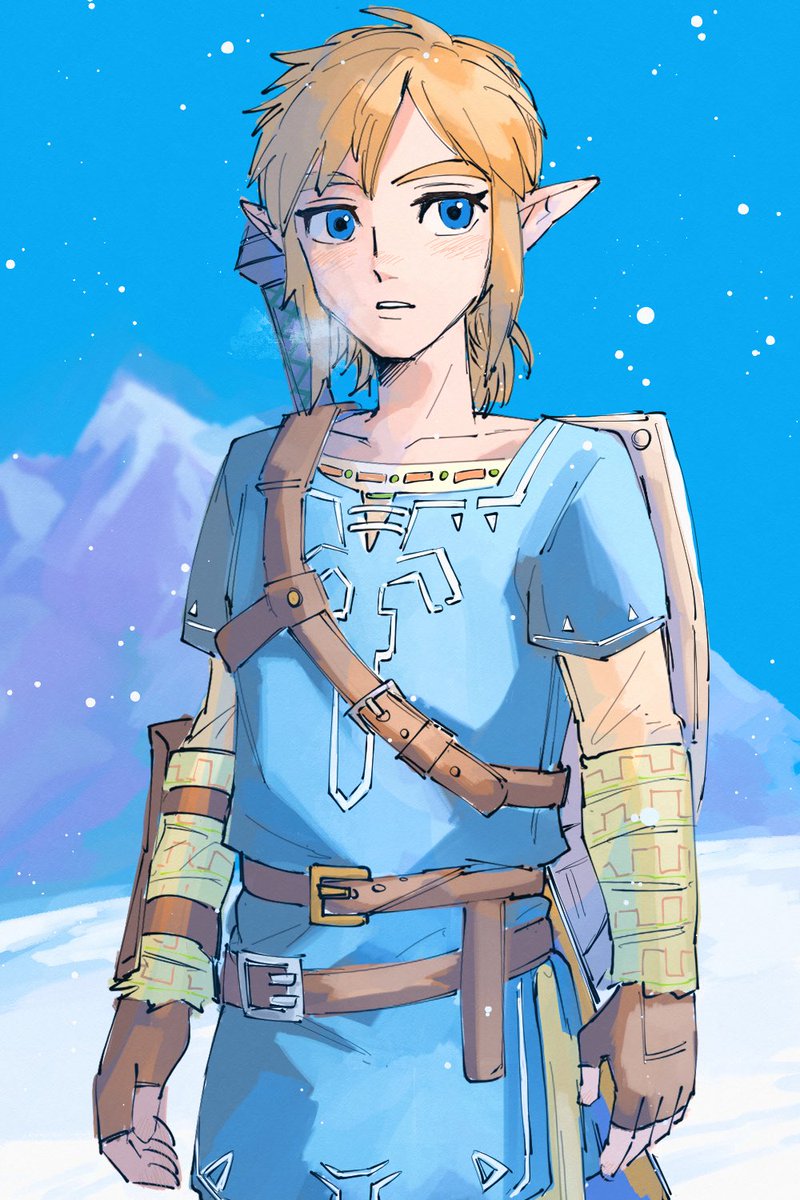 リンク(ゼルダの伝説) 「#Zelda 」|矢森☀のイラスト