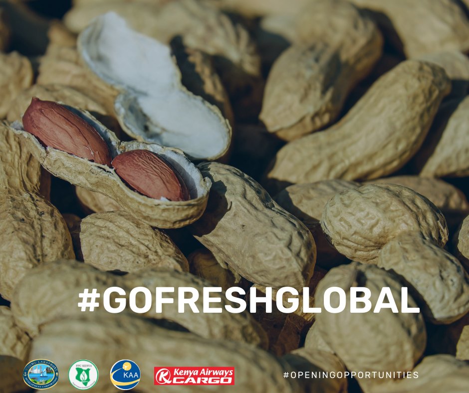 PortCityKisumu's tweet photo. Commodities that have been targeted include avocados, fish, chillies, pepper, mangoes, pineapples, peanuts, traditional green vegetables and organic beef. The inaugural flight is scheduled to depart this evening. #GoFreshGlobal #OpeningOpportunities https://t.co/3XqI7O2QCy