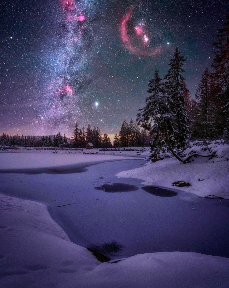 PlacesTo_Visit's tweet photo. Oderteich, Nationalpark Harz 🌌 https://t.co/tdDGk67Pel