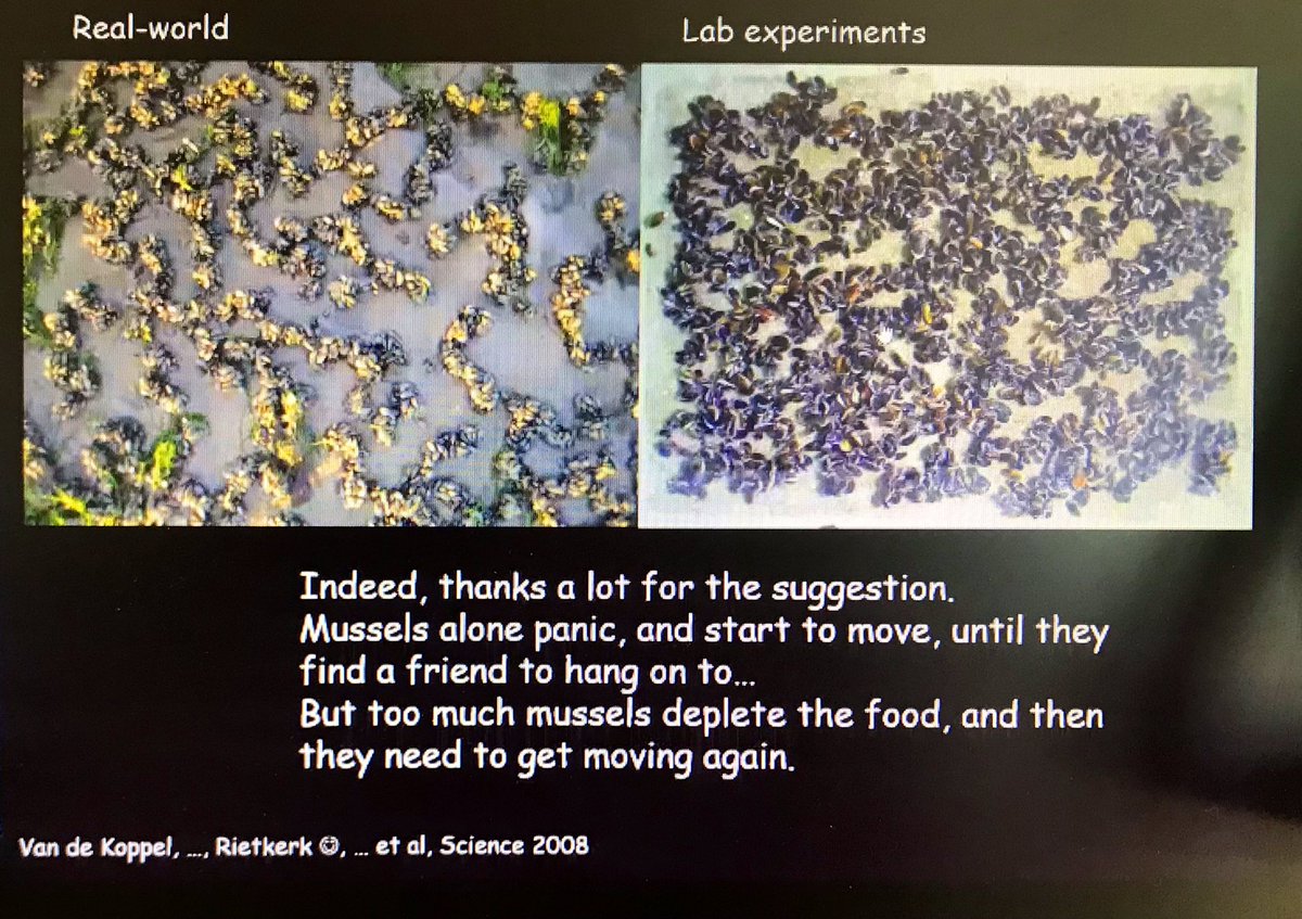 mussels alone panic🤔🤔