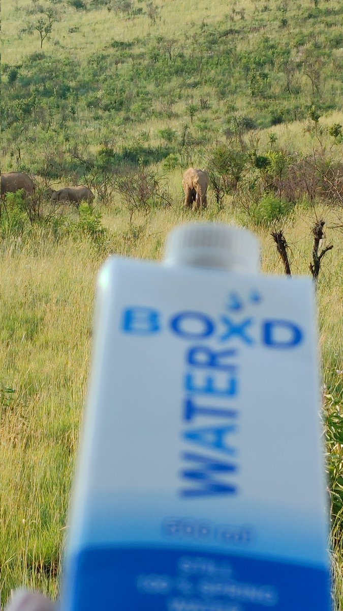 JHBJay's tweet image. #WinWithBoxd #Boxd #GoBoxd #LiveRefreshed during our fun game drive we enjoyed our boxd water while seeing all the beautiful wildlife and enjoying nature