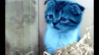 adan8000's tweet image. 