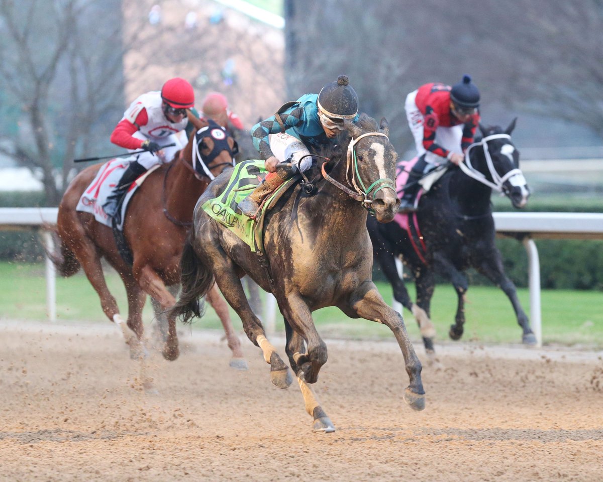 Amescua Making the Most of First Oaklawn Experience. Trainer Rene Amescua ended '21 with a bang. Amescua saddled 3 winners NYE, his 1st career strikes at Oaklawn since migrating from his native Cali. to Hot Springs for the '21-'22 meet that began Dec. 3. ow.ly/cBqB50Hqell